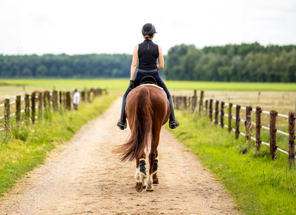 Ausreiten auf den Reitstall Esser m Norden von Köln